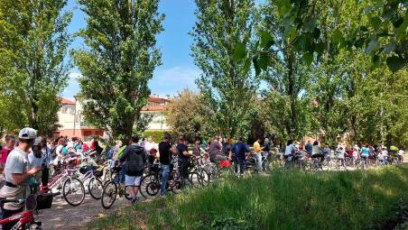 Bagnacavallo, in bicicletta alla scoperta dei grandi alberi