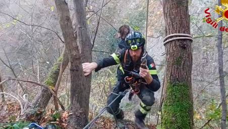 Monte Fregnano, cane bloccato da 3 giorni recuperato dai vigili del fuoco VIDEO