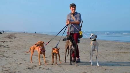 Alcuni dei levrieri salvati dall’associazione Gaci