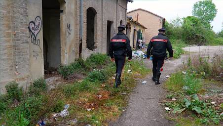 Foto e video Massimo Fiorentini