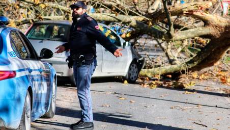 Ravenna. Il vento abbatte un albero: distrutta un’auto con dentro mamma e figlia. Via delle Industrie chiusa al traffico