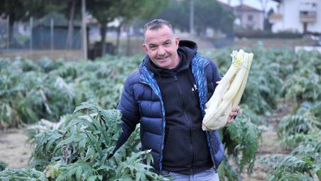 Giuseppe Fiori, titolare dell’azienda di Pinarella che produce un cardo dal sapore unico, dolce, utilizzato anche per panettoni, liquori e marmellate