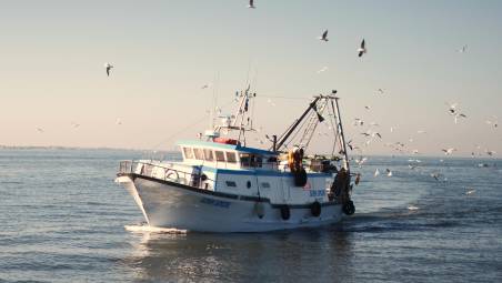 Un peschereccio riminese in mare