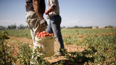 Rimini. Destinati a un hotel riminese, tre lavoratori finiscono schiavizzati nei campi in Sicilia dopo avere pagato 10mila euro a testa