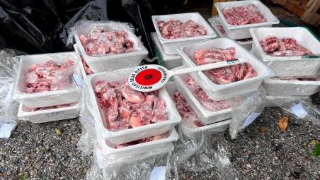 Rimini, carne di agnello non sicura verso Pasqua: oltre 50 chili sequestrati e distrutti, multe per 1.500 euro