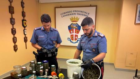 Alfonsine, sequestro di droga e armi: arrestato un 65enne con una piantagione in casa