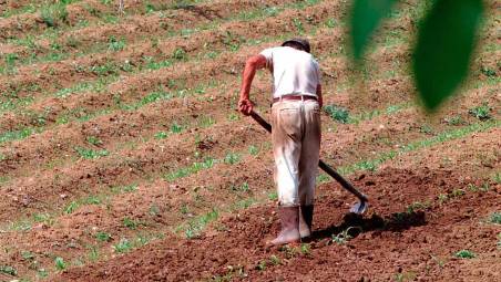 L’agricoltura è uno dei sottori maggiormente colpito dall’emergenza caldo