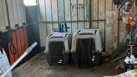 Il garage e le gabbie in cui sono rimasti rinchiusi per cinque giorni con un primo piano delle gabbie