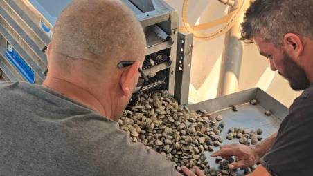Rimini, la pesca della vongola diventa green: debutta la nuova draga ecologica