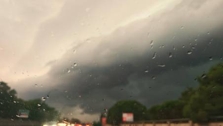 Allerta meteo per temporali in Romagna, venti a 100 km/h, alberi caduti sulla Romea