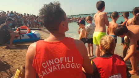 Cattolica. Spiagge sicure con i cani da salvataggio