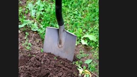 Rimini, nascondevano nel giardino i soldi e gioielli rubati dai figli: genitori a processo