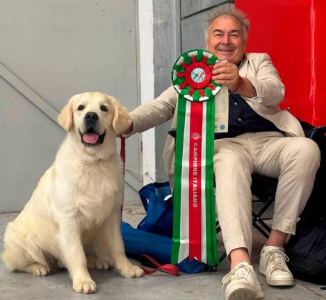 I golden retriever più belli del mondo. Da Cannuzzo all’expo