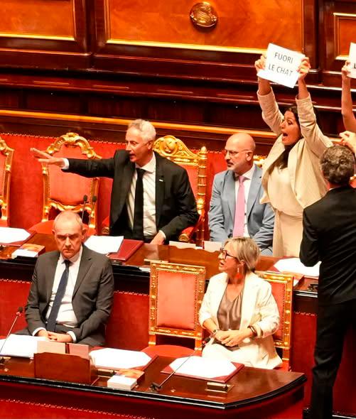 Il senatore riminese Marco Croatti è il primo in alto da sinistra