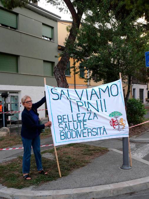 Ravenna, pini in via Maggiore: motoseghe in azione nonostante le proteste degli ambientalisti - Gallery
