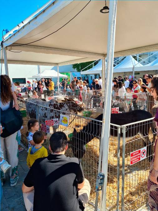 Santarcangelo, Fiera di San Michele, domenica 27 settembre la giornata conclusiva