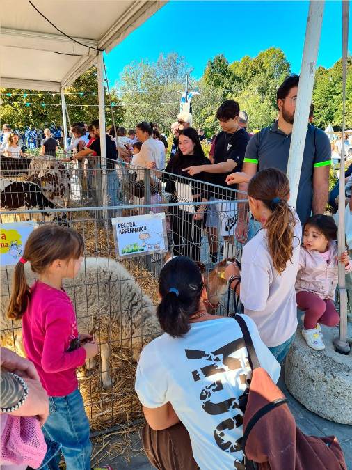 Santarcangelo, Fiera di San Michele, domenica 27 settembre la giornata conclusiva
