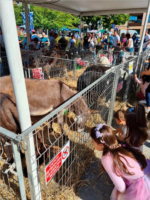 Santarcangelo, Fiera di San Michele, domenica 27 settembre la giornata conclusiva