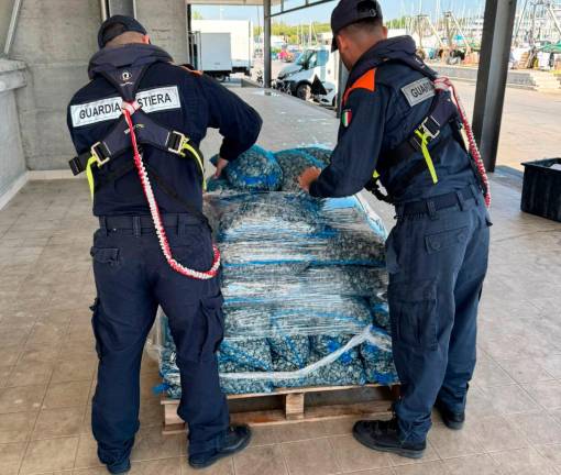 La Guardia Costiera ha proceduto al sequestro del prodotto ittico eccedente, per un totale di 650 kg