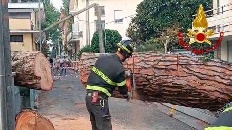 Bellaria, crolla un albero sui binari: treno bloccato e 23 passeggeri evacuati sulla linea Rimini-Ravenna
