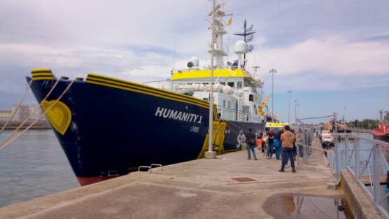 Foto e video Massimo Fiorentini