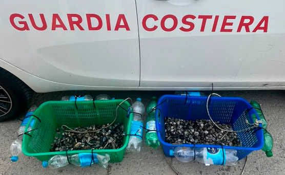 Cesenatico, raccolgono vongole sulla spiaggia con i rastrelli: multa di 400 euro