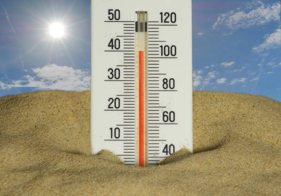 Meteo Romagna, massime oltre i 38 gradi: allerta gialla per temperature estreme