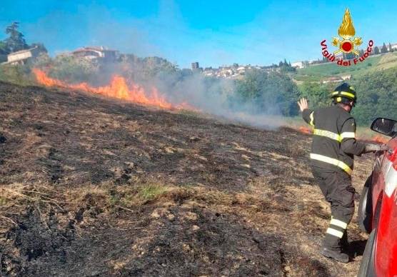Longiano, incendio in un campo agricolo