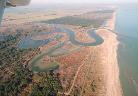 «Area marina protetta». Ravenna candida la Foce del Bevano