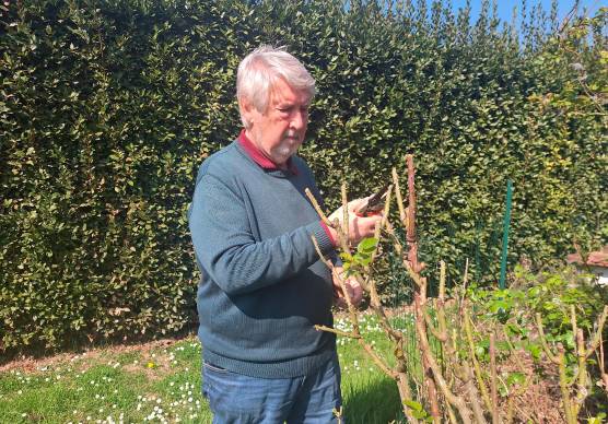 L’ex ministro del Lavoro Poletti tra Bubano e Cesena: “Faccio il volontario e curo frutteti e rose”