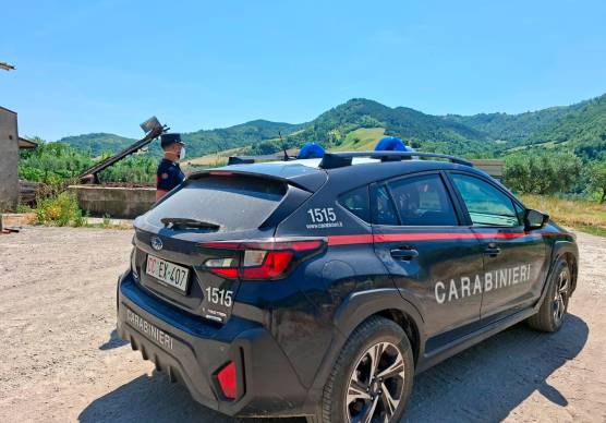 Brisighella, sanzionato allevamento di conigli, 15 carcasse in avanzato stato di decomposizione