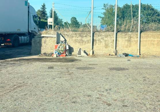 Fiori sul luogo della tragedia