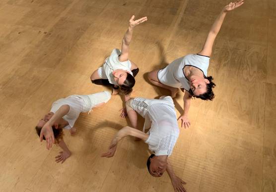 “Le Palestriti” foto nexus