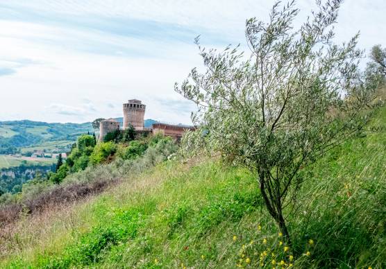 Uno scorcio di Brisighella