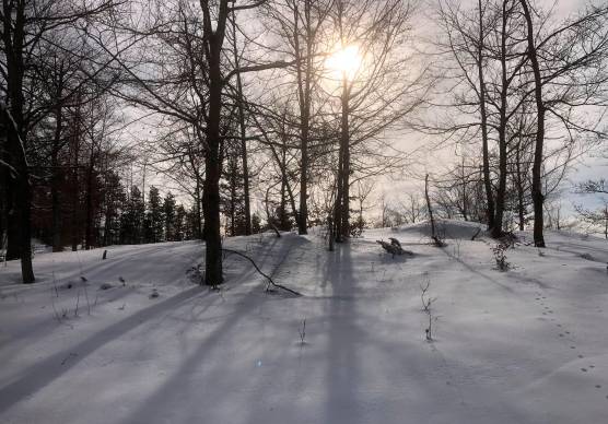 Meteo Romagna, la neve in Appennino ha i giorni contati: temperature in rialzo