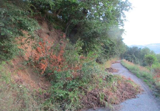 Meteo Romagna, domani mercoledì 28 gennaio pioggia e rischio frane e ruscellamenti