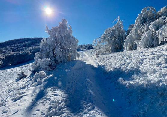 Meteo Romagna, neve sopra i 500 metri giovedì 26 marzo