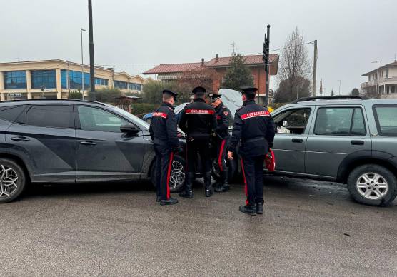 Foto e video Zanotti