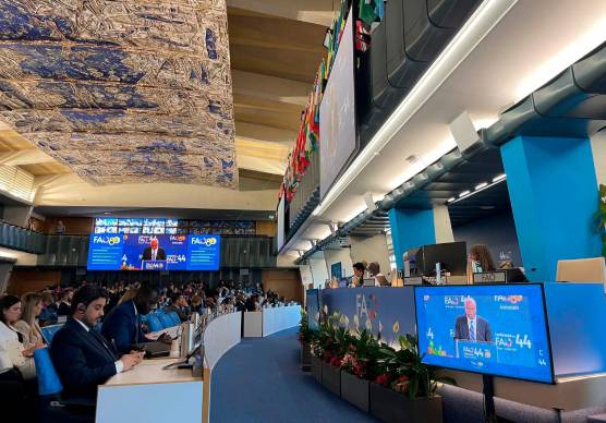 La Conferenza Fao a Roma