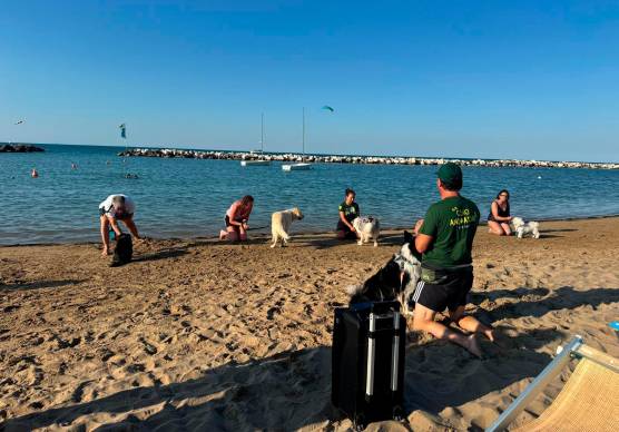 L’Alta Marea Beach Village di Cattolica, stabilimento balneare punto di riferimento per chi vuole trascorrere la vacanza in spiaggia con il proprio cane