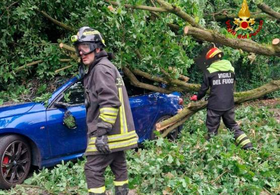Non si segnalano criticità di rilievo a persone o feriti