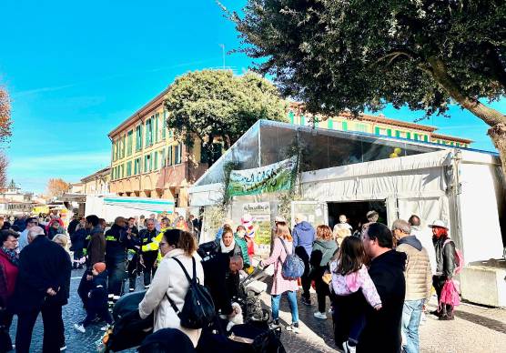 Fiera dell’Oliva a Coriano: weekend di degustazioni, olio nuovo e tradizione