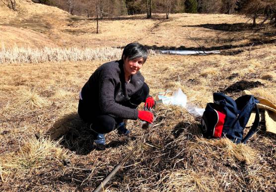 Dalle barene di Venezia all’Adriatico: il telerilevamento svela i cambiamenti