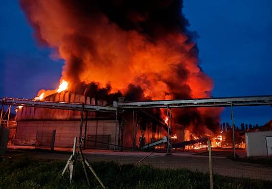 Meldola, incendio all’allevamento di galline ovaiole, animali in salvo VIDEO