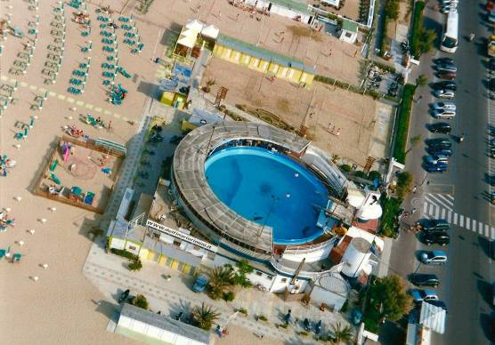 Il Delfinario di Rimini