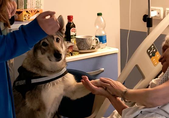 Rimini, “dog-tori” in corsia: partito il progetto di pet therapy all’Hospice