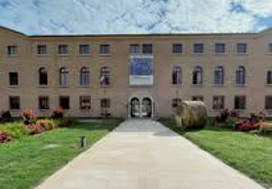 Ravenna, al Mar in autunno la personale di Nicola Samorì