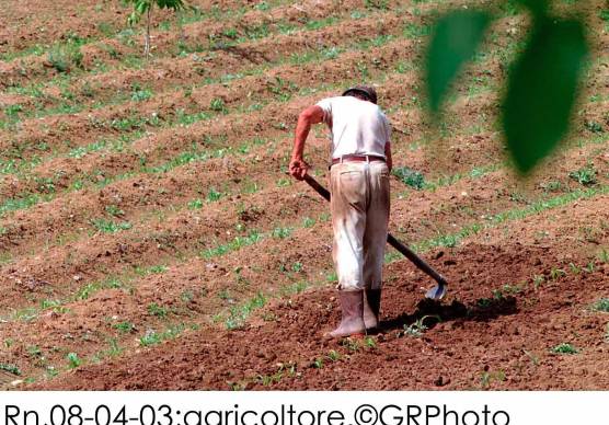 L’agricoltura è uno dei sottori maggiormente colpito dall’emergenza caldo
