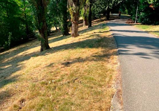 Rimini. A 9 anni cade in bici al Parco della Cava e sbatte la testa, i genitori: “Chiederemo i danni al Comune”