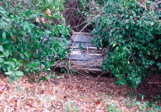 L’auto capottata tra la vegetazione